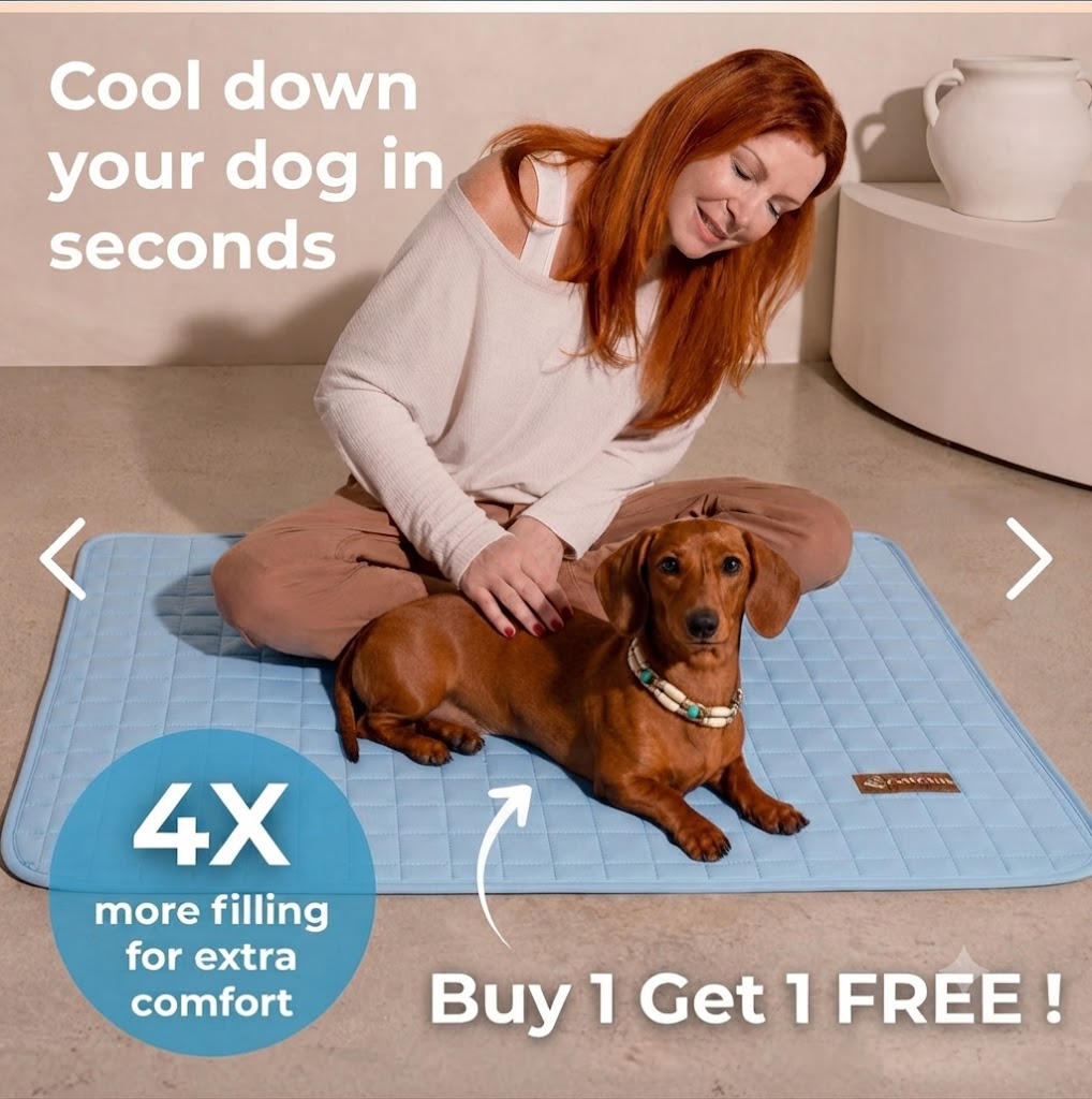 PawChill Mat™