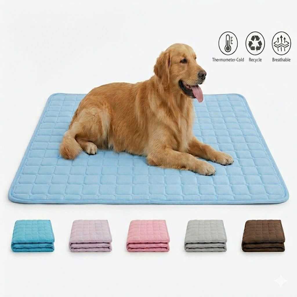 PawChill Mat™