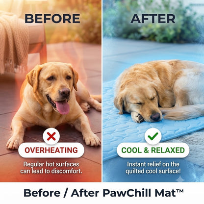 PawChill Mat™