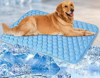 PawChill Mat™