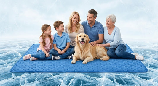 PawChill Mat™