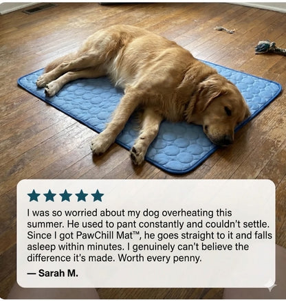 PawChill Mat™