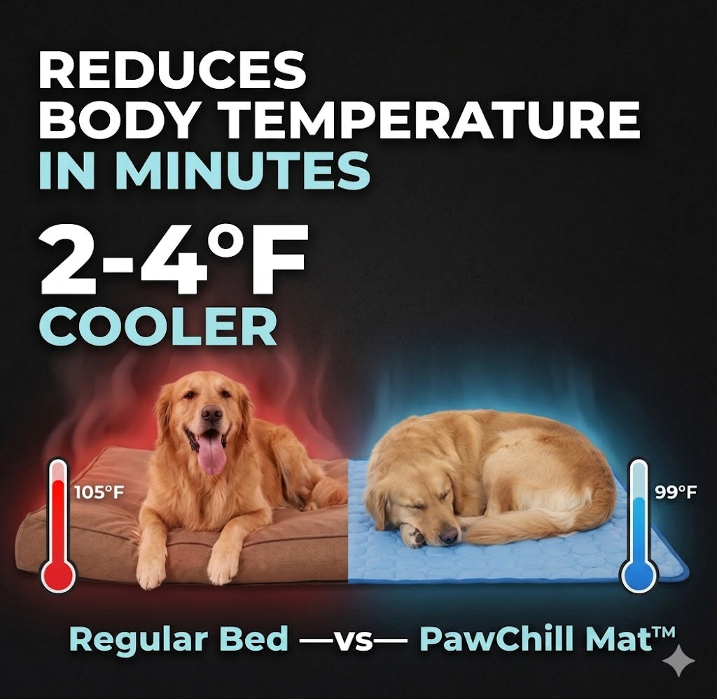 PawChill Mat™